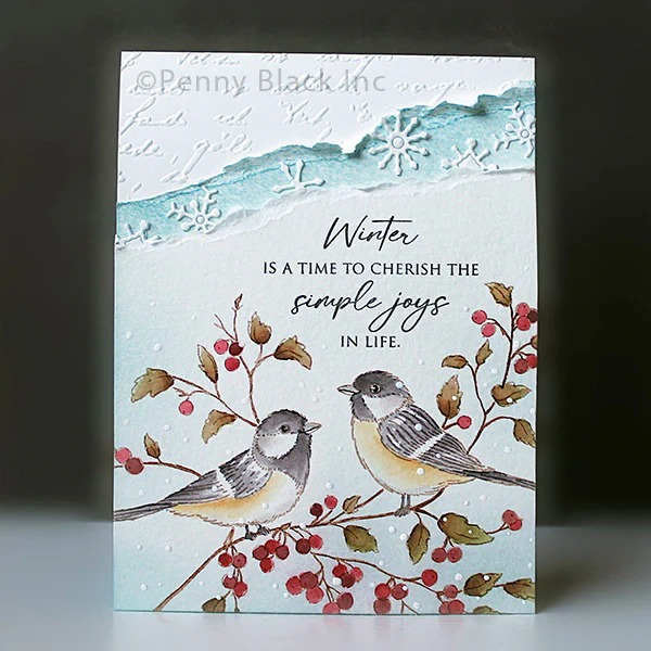 Selos de silicone transparente - Clear Silicone Stamps For Card Making avaliação e preço