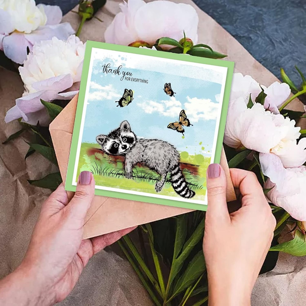 Guaxinins Realistas Selos Clar - Clear Silicone Stamps For Card Making avaliação e preço
